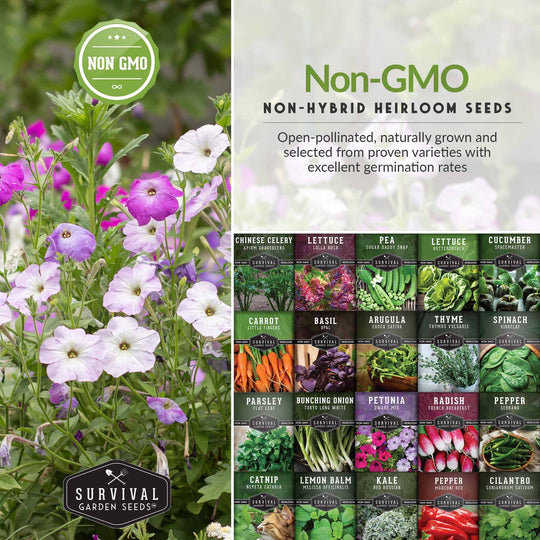 Survival Garden Seeds: Apartment Kit Seed Vault - 20 Container Friendly Varieties