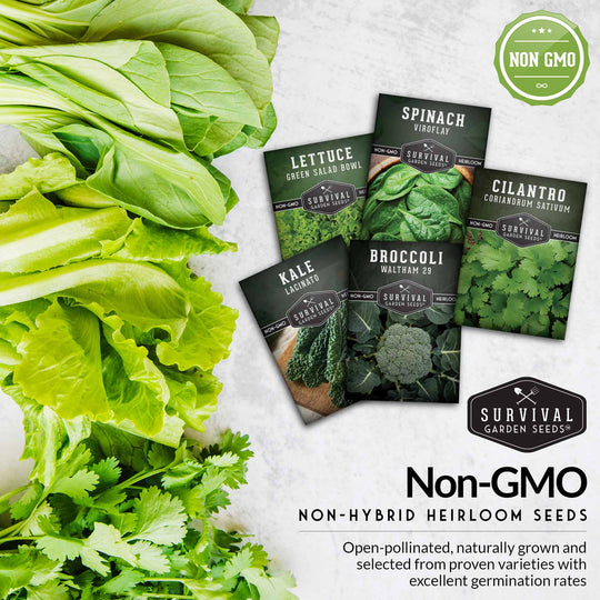Survival Garden Seeds: Cool Weather Vegetable Seed Collection - Spinach, Kale, Cilantro, Broccoli, and Leaf Lettuce