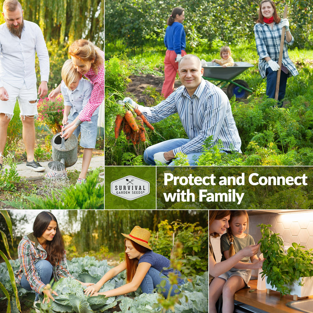 Survival Garden Seeds: Starter Kit Seed Vault - 20 Delicious Varieties of Vegetables