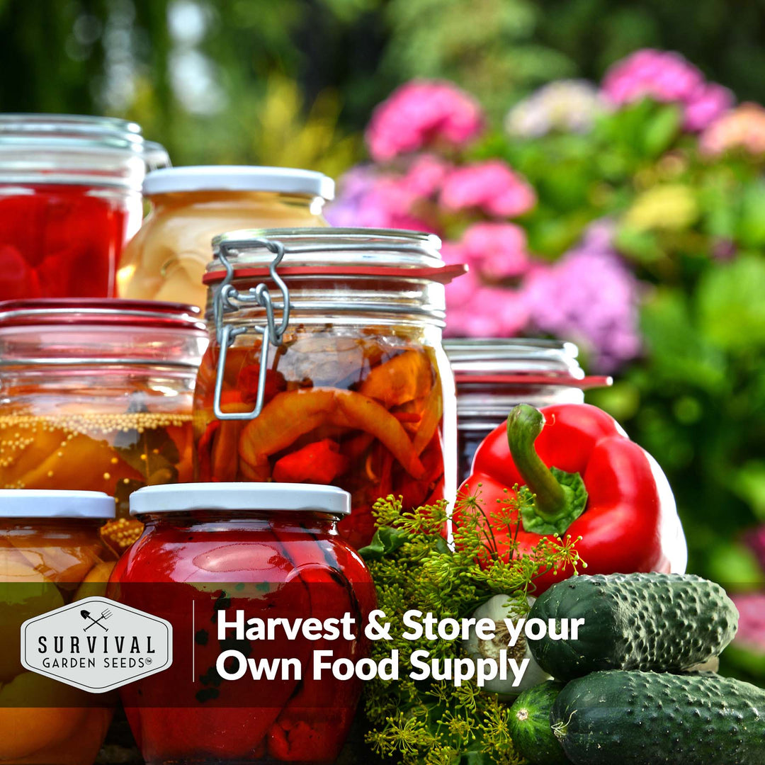 Survival Garden Seeds: Home Garden Seed Collection - 30 Pack of Vegetables & Herb Seeds