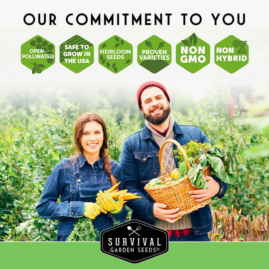 Survival Garden Seeds: Apartment Kit Seed Vault - 20 Container Friendly Varieties