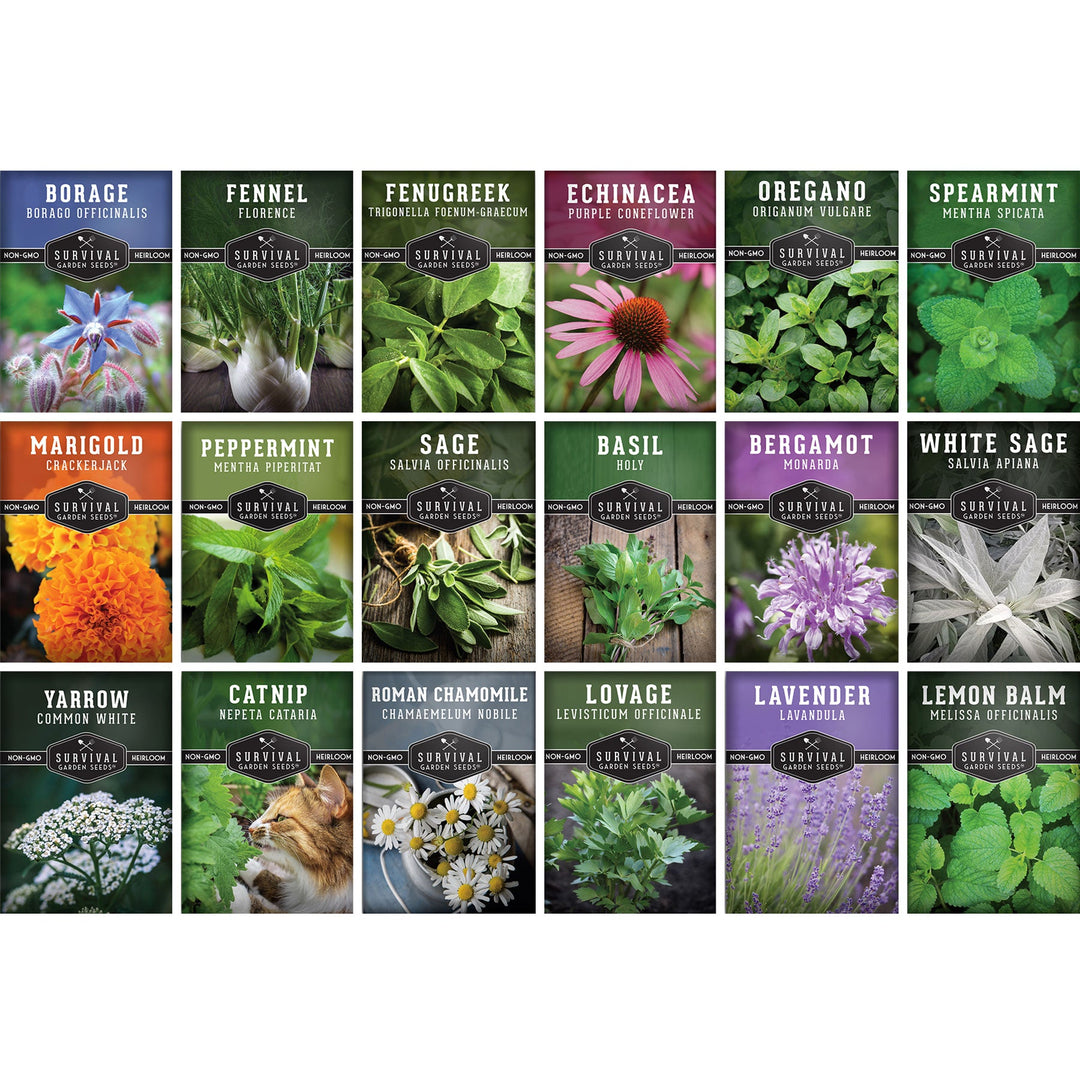 Survival Garden Seeds: Medicinal Herb Collection - 18 Medicinal Herbs