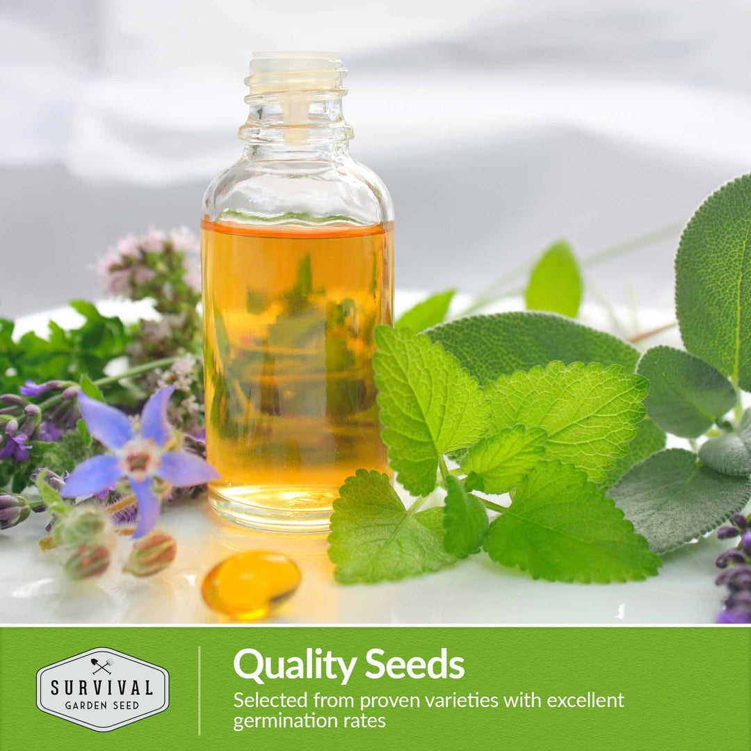 Survival Garden Seeds: Medicinal Herb Collection - 18 Medicinal Herbs