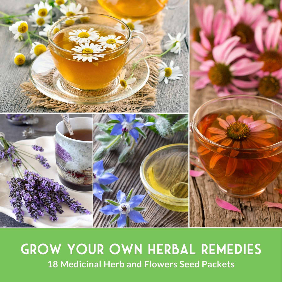 Survival Garden Seeds: Medicinal Herb Collection - 18 Medicinal Herbs