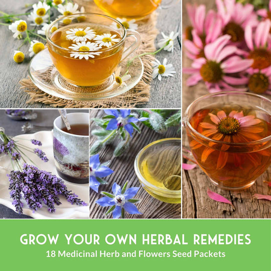 Survival Garden Seeds: Medicinal Herb Collection - 18 Medicinal Herbs