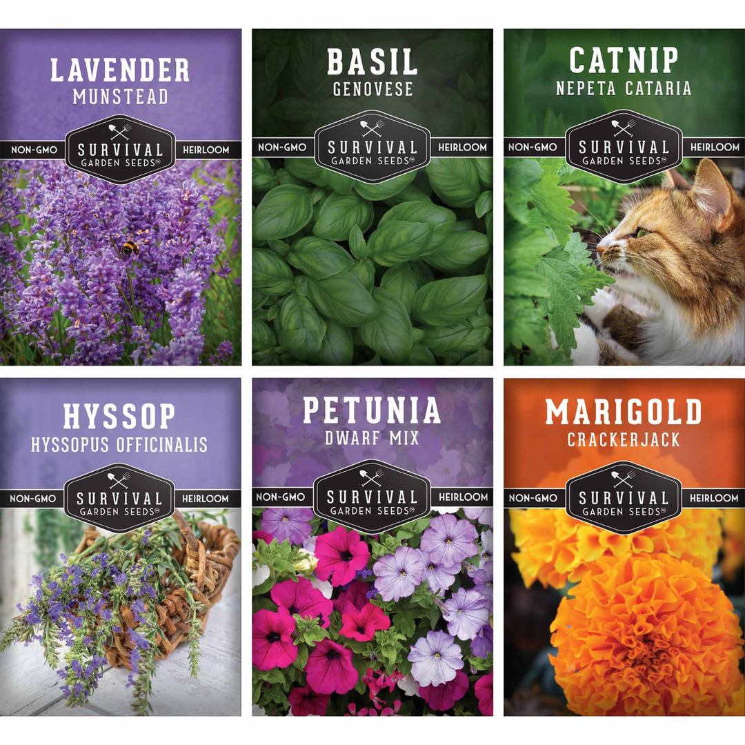 Survival Garden Seeds: 6 Pest Defense Herb & Flower Seeds - Repel Garden Pests Naturally
