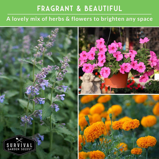 Survival Garden Seeds: 6 Pest Defense Herb & Flower Seeds - Repel Garden Pests Naturally