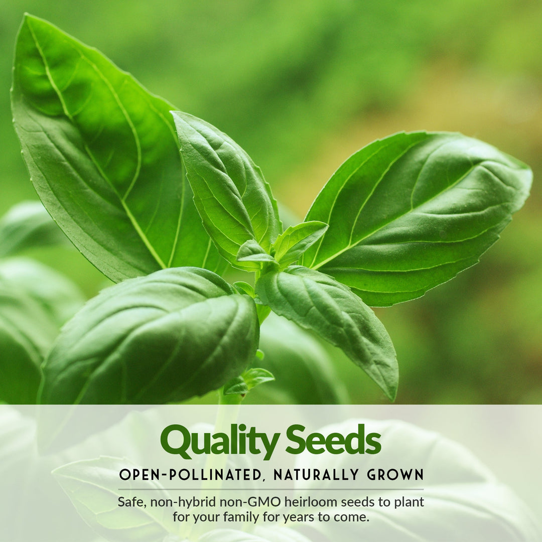 Survival Garden Seeds: Starter Kit Seed Vault - 20 Delicious Varieties of Vegetables