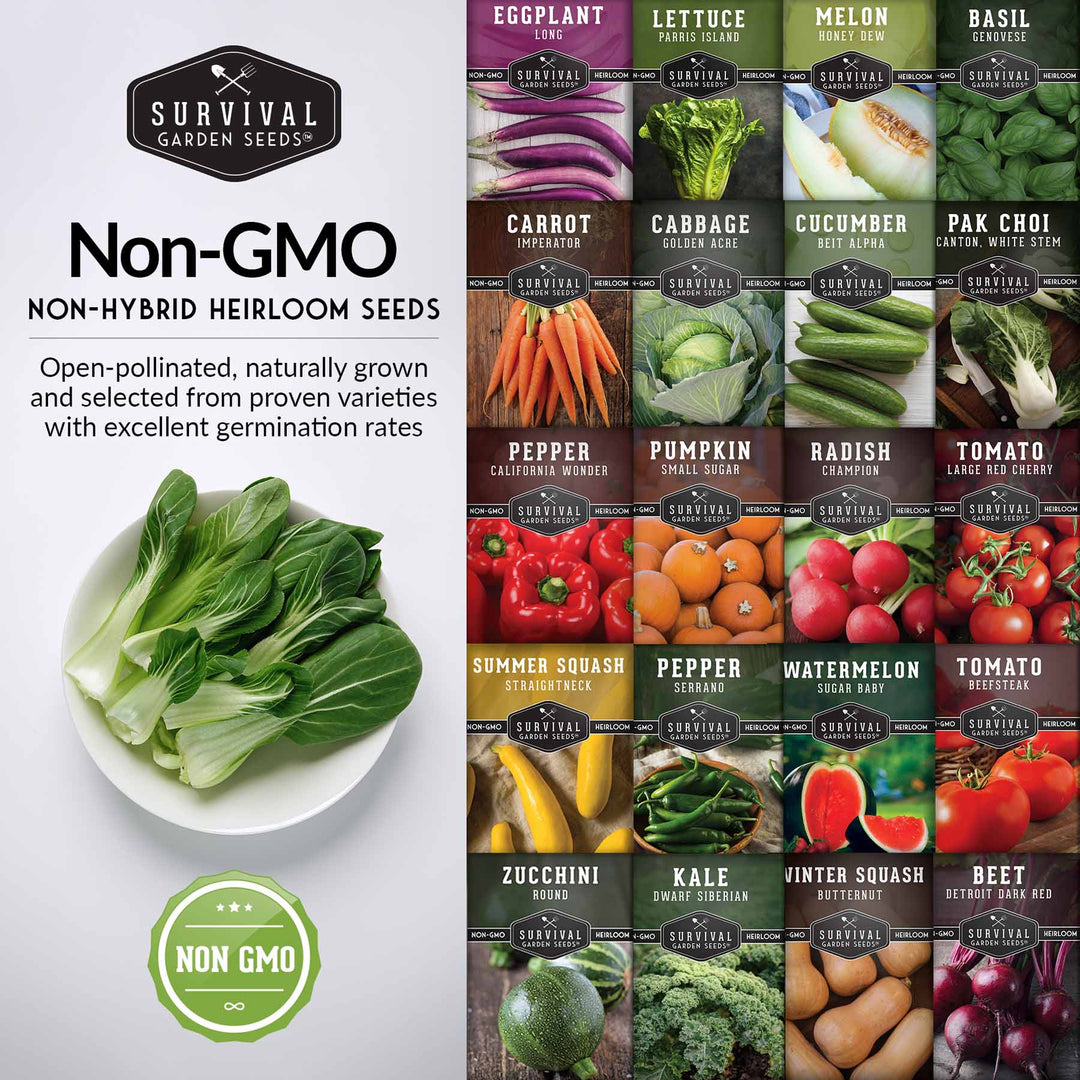 Survival Garden Seeds: Starter Kit Seed Vault - 20 Delicious Varieties of Vegetables