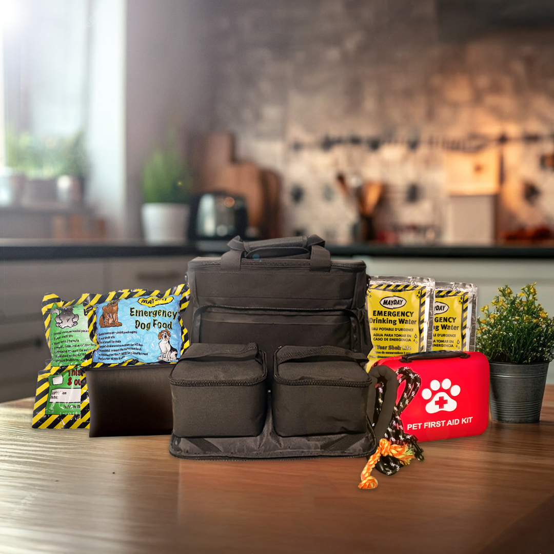 Photo inspiration: Fresh Look at Entropy Survival The Safe Pet Kit Must Have Pet Kit