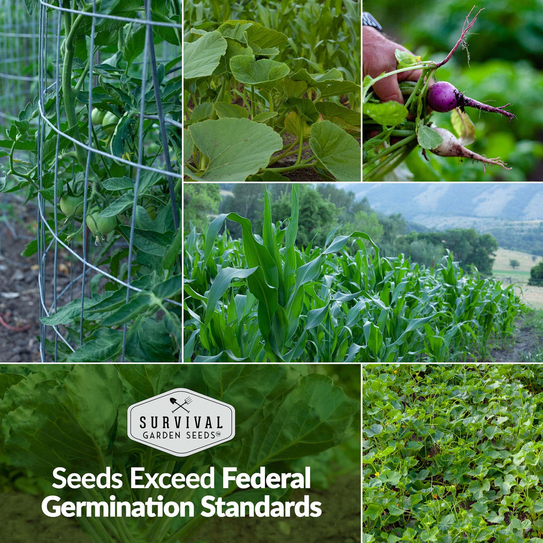 Survival Garden Seeds: Home Garden Seed Collection - 30 Pack of Vegetables & Herb Seeds