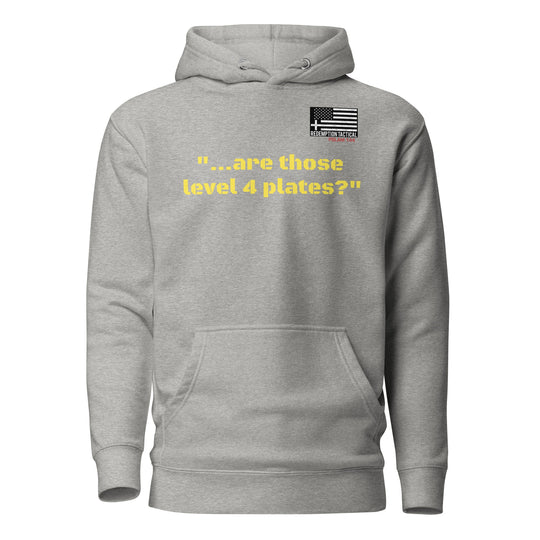 'Are those Level IV Plates?' Hoodie